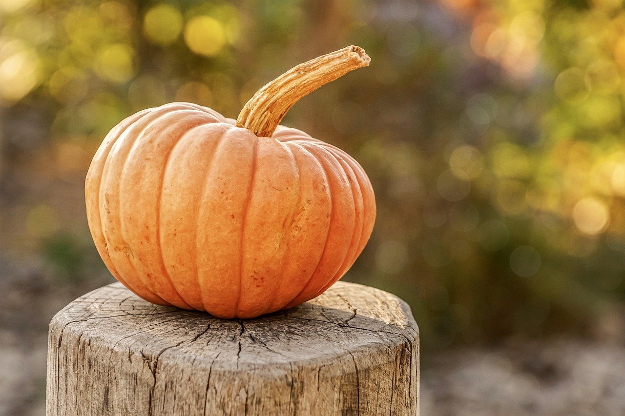 pumpkin pie nutrition facts